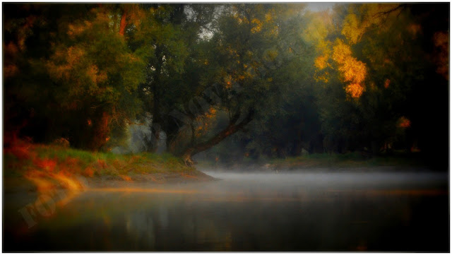 Prosta_D_Doris_Jug Cigoj_Meglice I..JPG