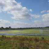 DSC02292.JPG