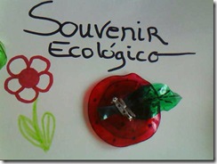 souvenir_ecologico (11)