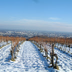 09 - Vienna from afar 2.jpg