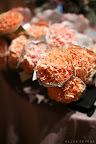 Matthew Robbins, Author & Martha Stewart Weddings Contributor, created mini bouquets of carnations for each guest that attended the panel. Matthew Robbins, Author & Martha Stewart Weddings Contributor, created mini bouquets of carnations for each guest that attended the panel.