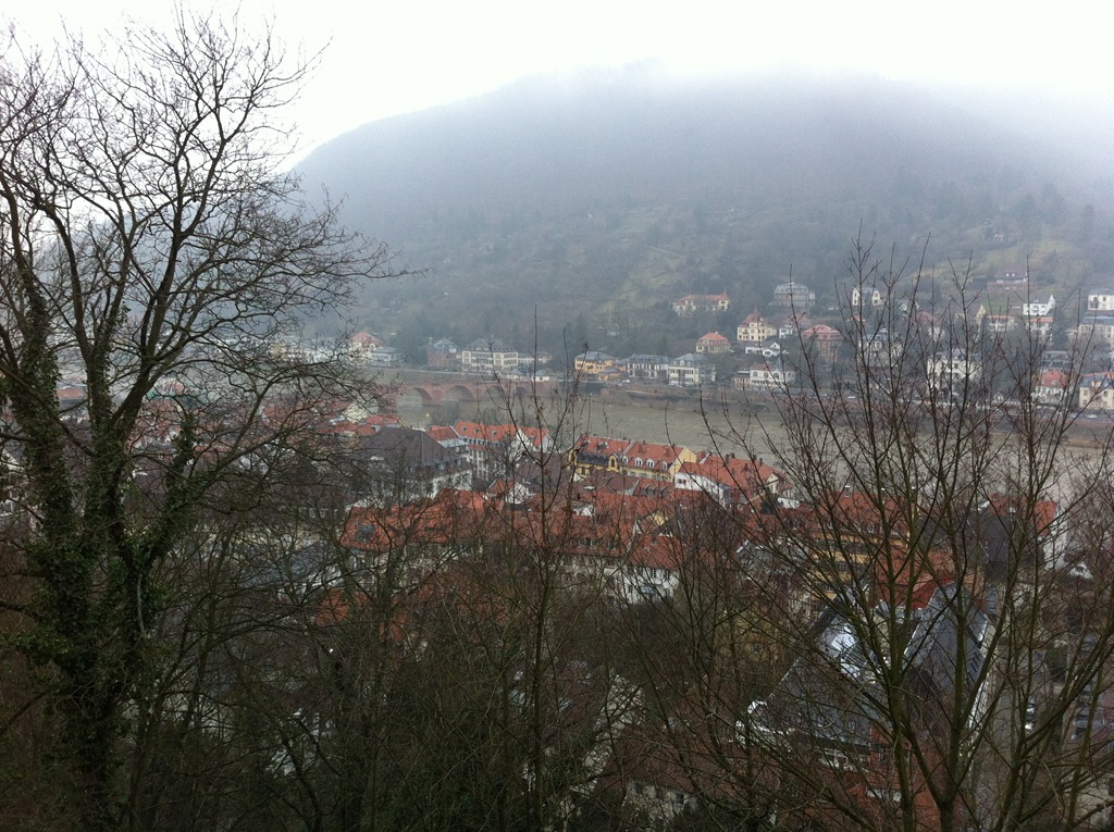 [IMG_3514.jpg]