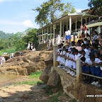 l047.jpg