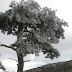 P4120143.JPG