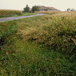 Image80.jpg