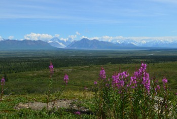 Denali Day 17_2001