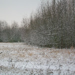 image7.jpg