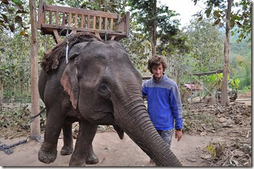 Laos Luang Prabang Elephant mahout course 140202_0090