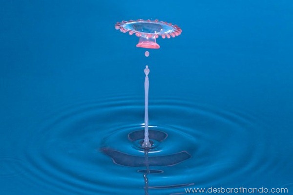 liquid-drop-art-gotas-caindo-foto-velocidade-hora-certa-desbaratinando (95)