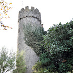 DSC_7481-2.jpg
