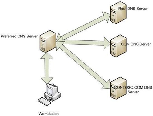 dns dns