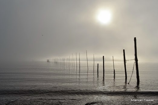 DSC_0088 3 DSC_0088 3