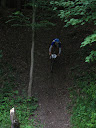 IMG_0775.jpg