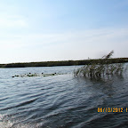 IMG_8037.JPG