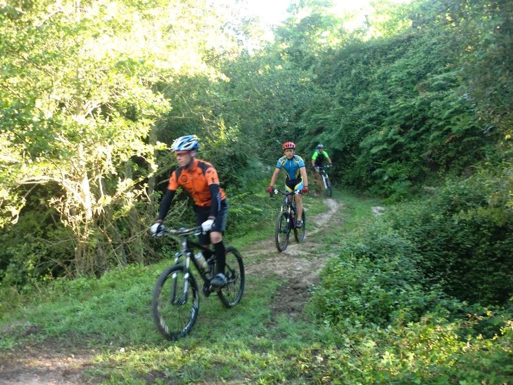 [CIMG7262%255B2%255D.jpg]