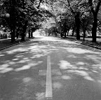 path2-Edit.jpg