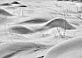 Dramatic Snow Shadows