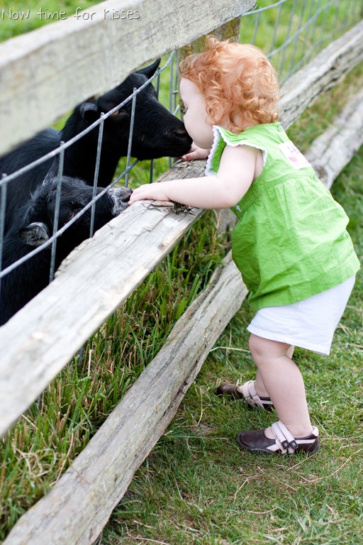 [20120728-IMG_748913.jpg]