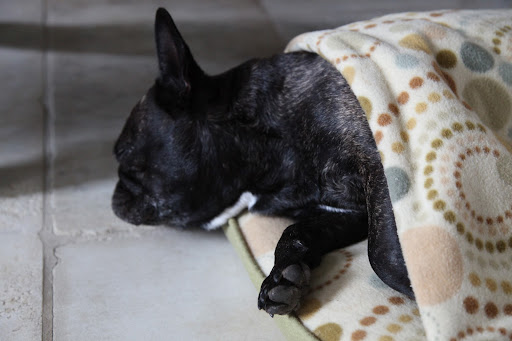 Yeah, sure, whatever, Sharkey.......zzzzzzz.