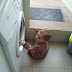 2011-10-22 12.18.47.jpg