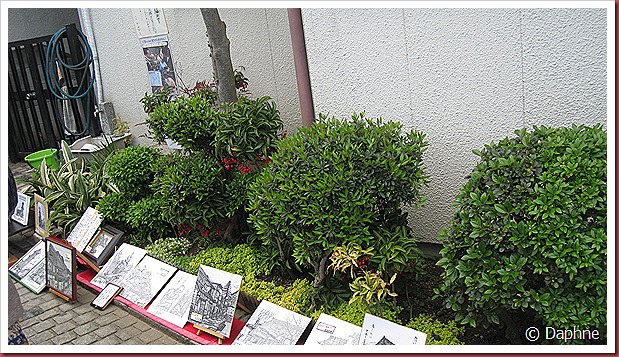 IMG_4118 IMG_4118