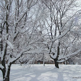 Blizzard TwentyTen - DSC08583.JPG