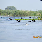 IMG_3764.JPG