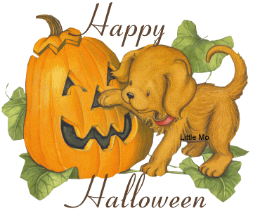 Pumpkin Puppy Happy Halloween, Halloween