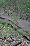 DSC_0030.JPG