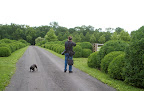 Yes, the boxwood allee is very impressive, but may I suggest that you walk further down and take a photo with the stable in the background?  It's a very dramatic shot!