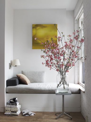 Dogwood branches celebrate the splendor of spring in bloom.