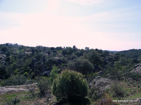 rio-guadarrama-parque-regional (15).JPG