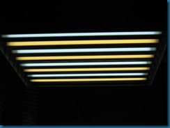 light spectrums light spectrums