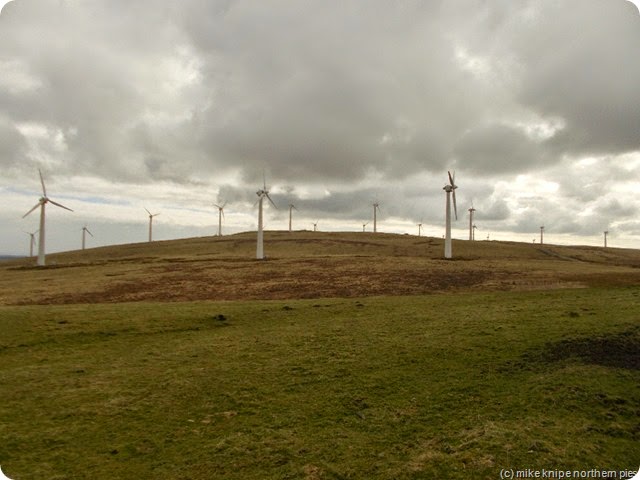 windfarm! windfarm!