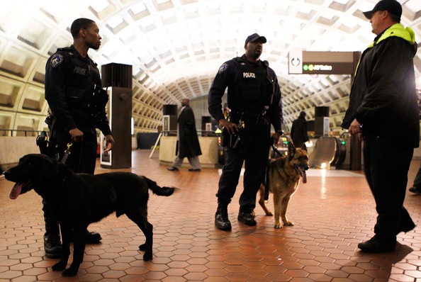 [twodogs%255B4%255D.jpg]
