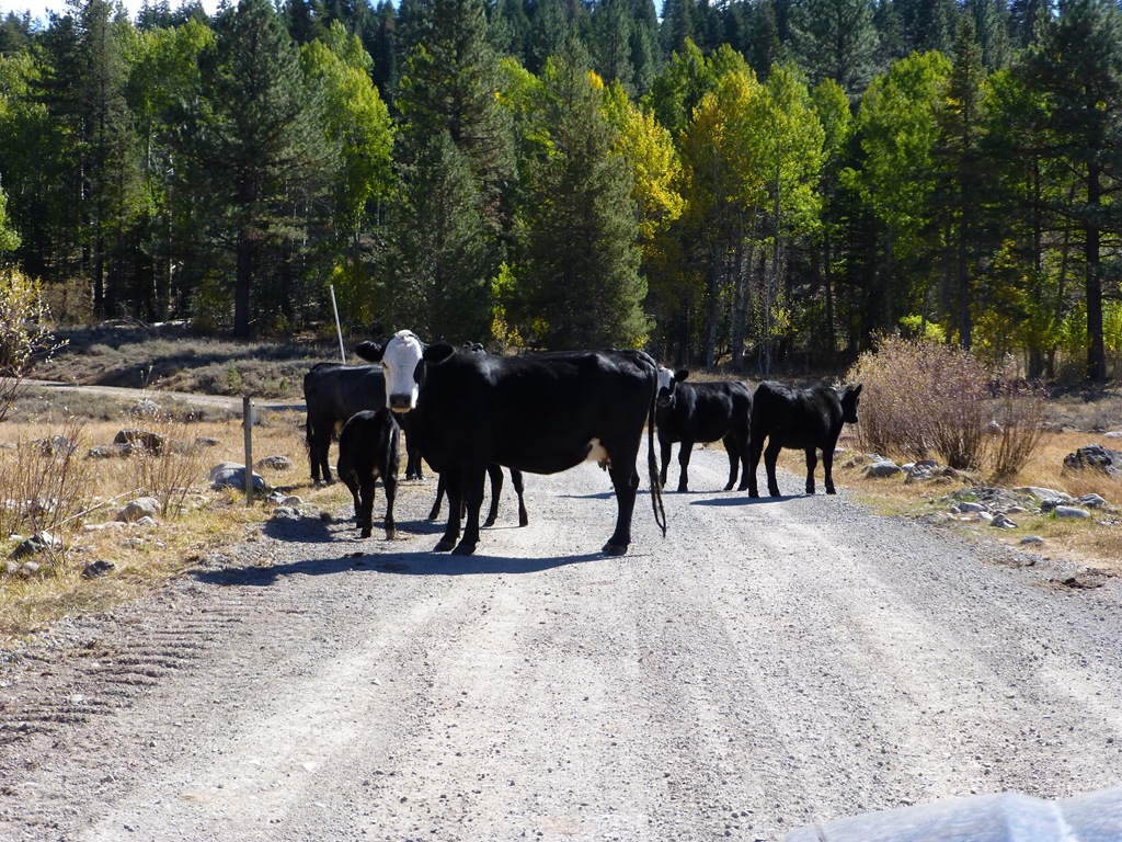 [Oct%252013%2520Perazzo%2520045%255B5%255D.jpg]