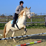 DSC_0091.JPG