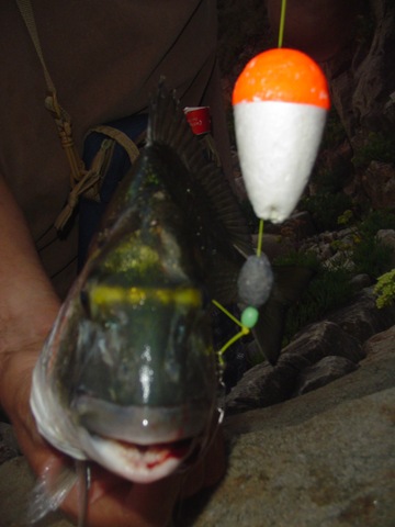 [DSC02069%255B3%255D.jpg]