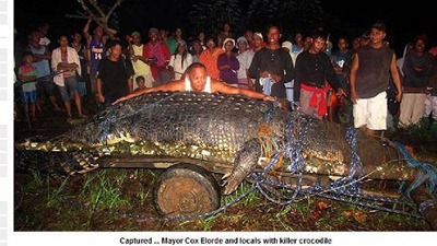 Crocodilo gigante é capturado