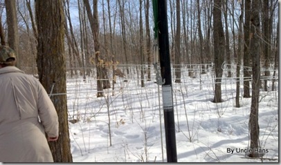 2012-03-10_10-03-18_534 2012-03-10_10-03-18_534