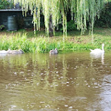 IMG_3474.jpg