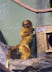 National Zoo in August