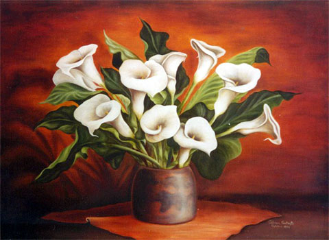 alcatraces jpg alcatraces flores
