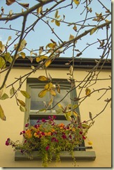 02.Rosscarbery 02.Rosscarbery