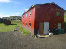 Holaskjol