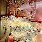 1422-05.JPG