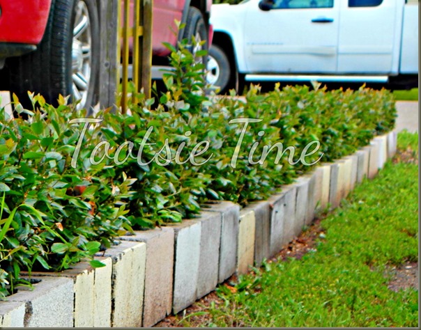 BeFunky_159.jpg BeFunky_159.jpg