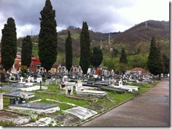 IMG_1036 IMG_1036