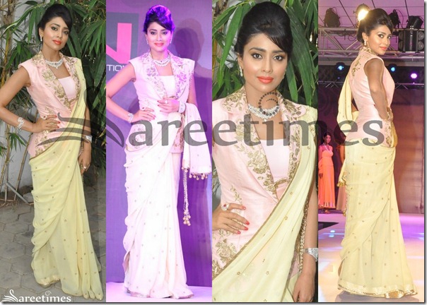 Shriya_Cream_Saree