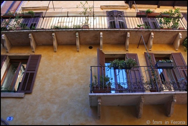 Windows and Doorways of Verona (5)